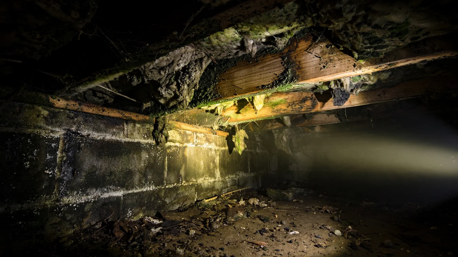 Mold remediation in a crawlspace beneath a Keller, TX home